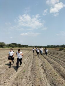 田んぼの学校